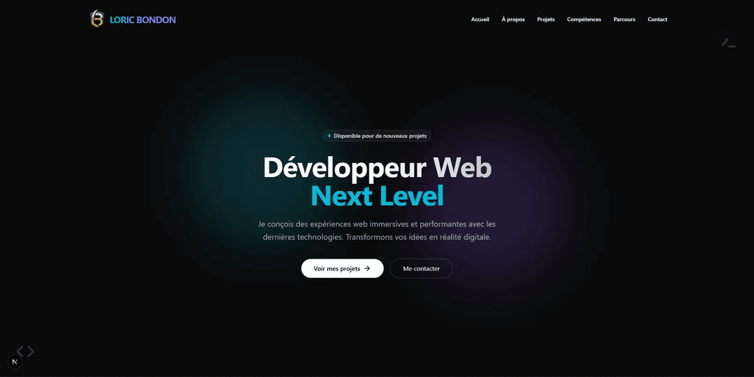 Portfolio Loric Bondon